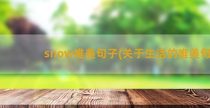 snow唯美句子(关于生活的唯美句子)