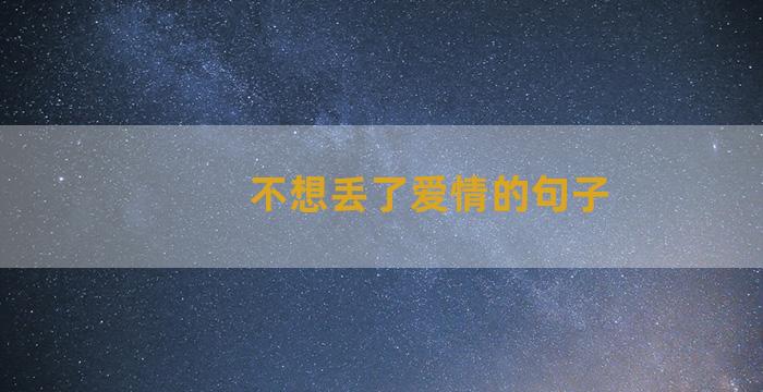 不想丢了爱情的句子