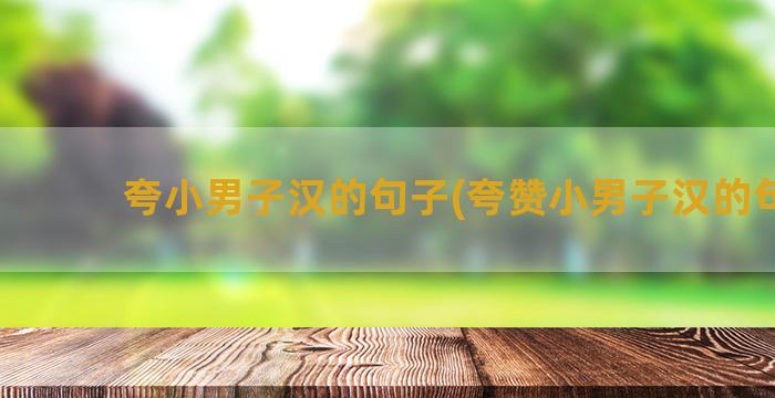 夸小男子汉的句子(夸赞小男子汉的句子)