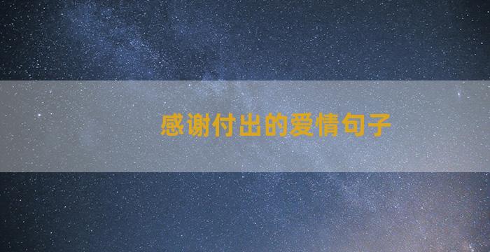 感谢付出的爱情句子