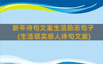 新年诗句文案生活励志句子(生活现实感人诗句文案)