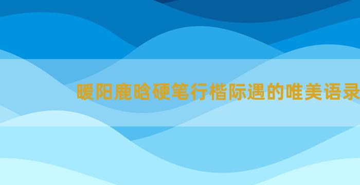 暖阳鹿晗硬笔行楷际遇的唯美语录