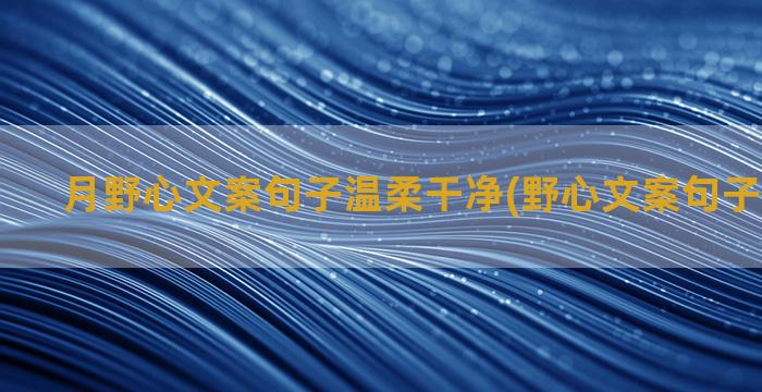 月野心文案句子温柔干净(野心文案句子温柔干净)