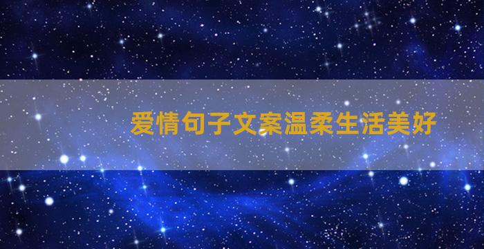 爱情句子文案温柔生活美好