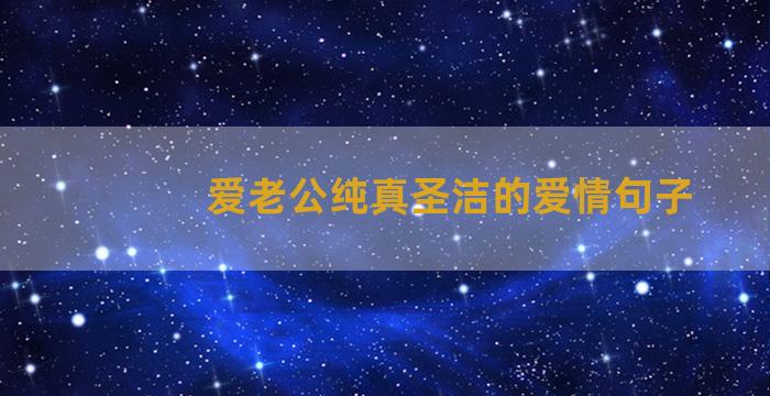 爱老公纯真圣洁的爱情句子