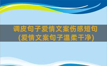 调皮句子爱情文案伤感短句(爱情文案句子温柔干净)